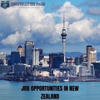 Job opportunities in New Zealand